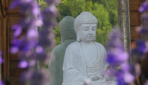 Bouddha fleurs violettes